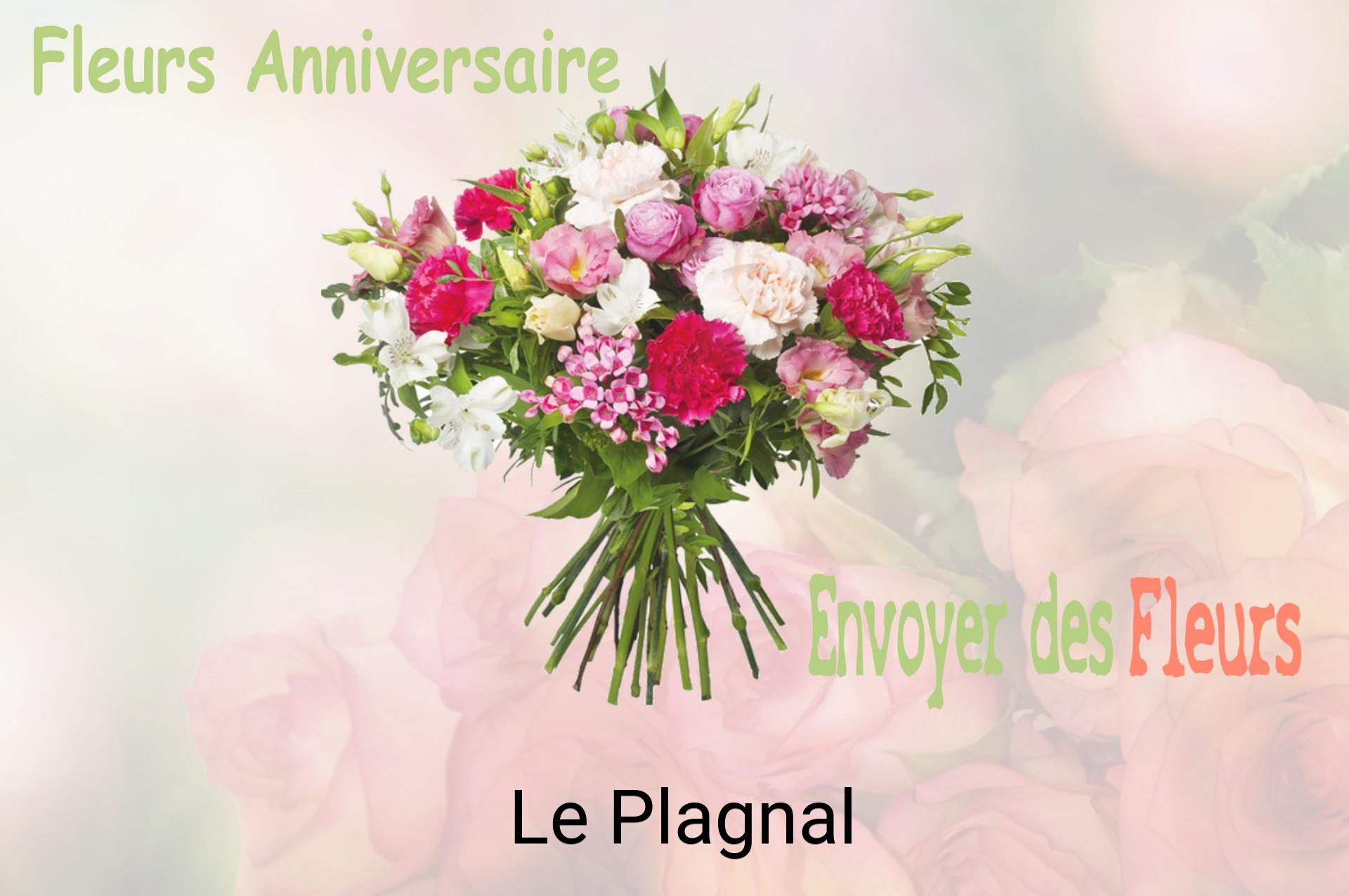 Bouquet de fleurs d’anniversaire livré à Le Plagnal