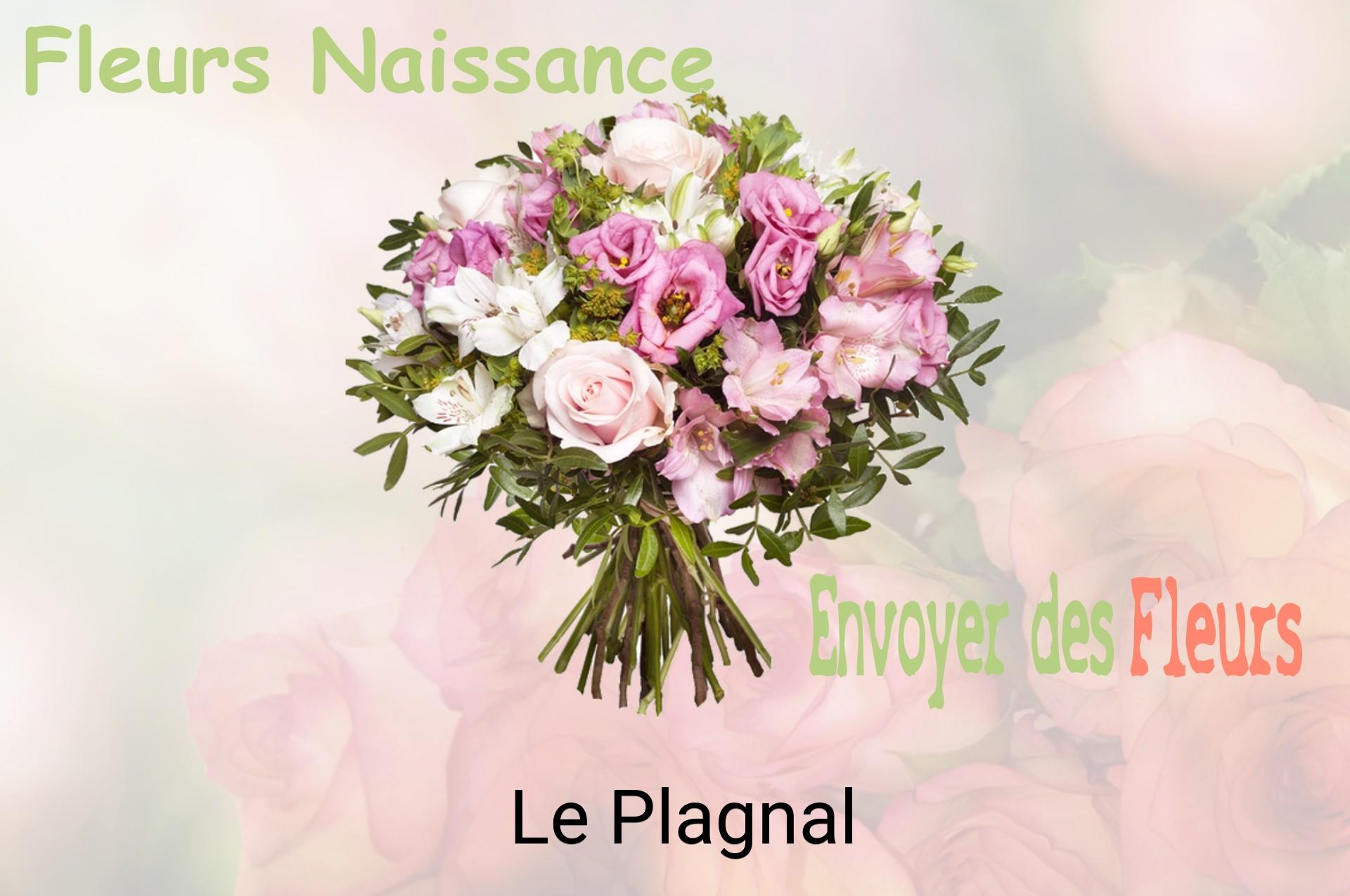 Bouquet de fleurs de naissance livré à Le Plagnal