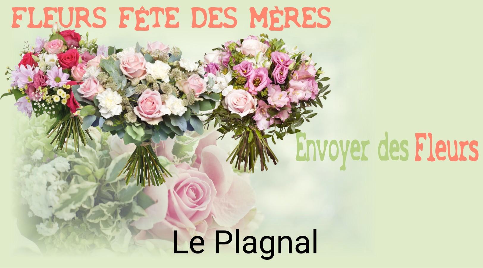 Bouquet de Fête des Mères livré à Le Plagnal